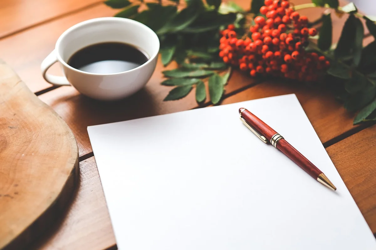 SEO on-page vs off-page en 2026 : découvrez leurs différences et complémentarités